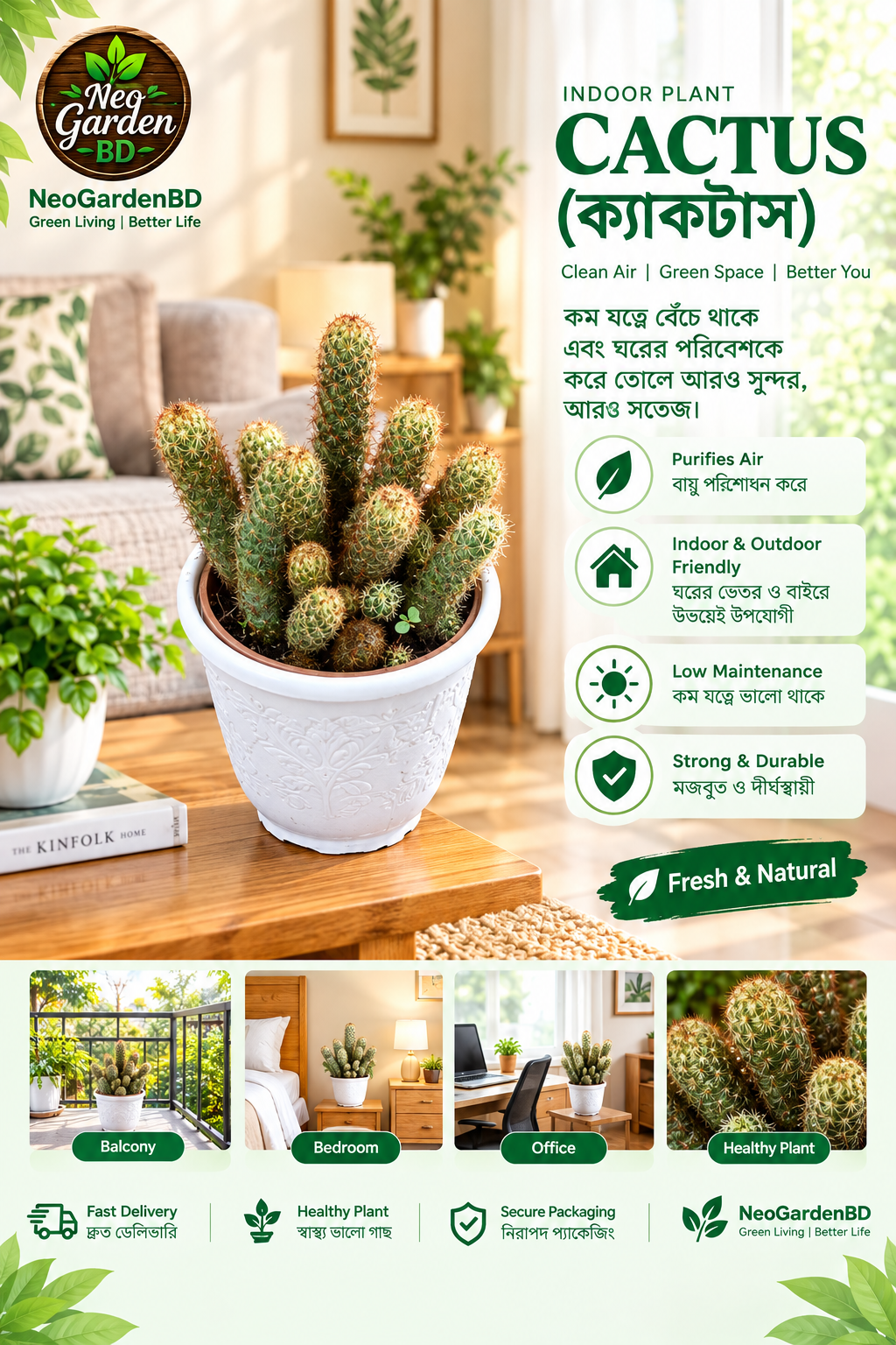 cactus (ক্যাকটাস) cactus (ক্যাকটাস)