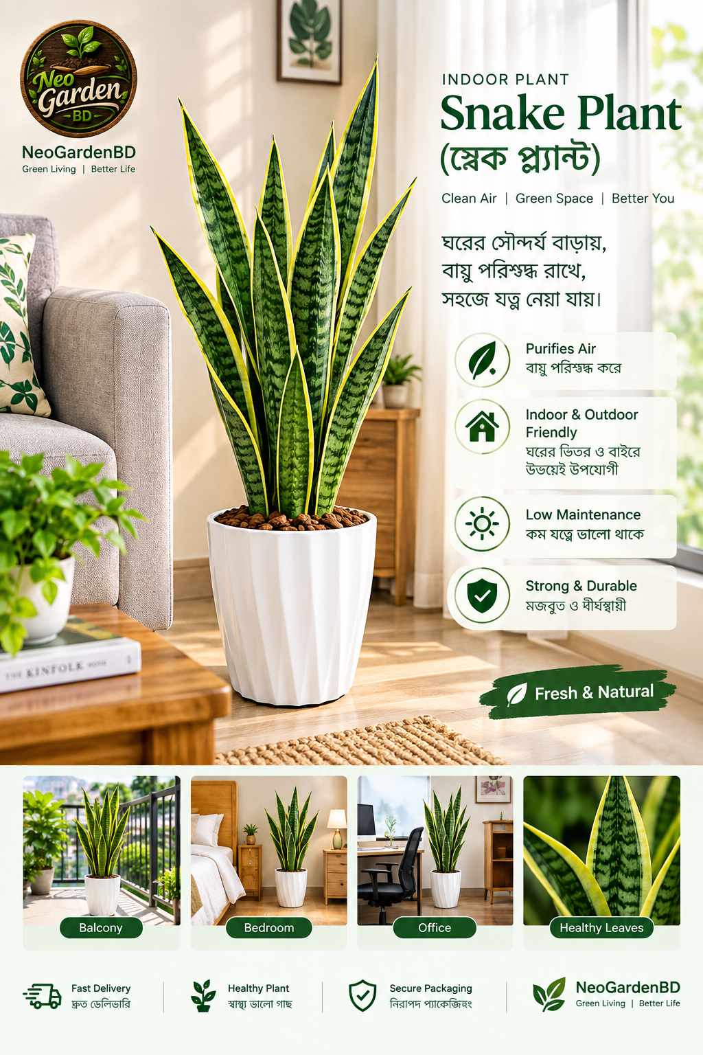 auto draft Snake Plant Indoor Air Purifier Plant