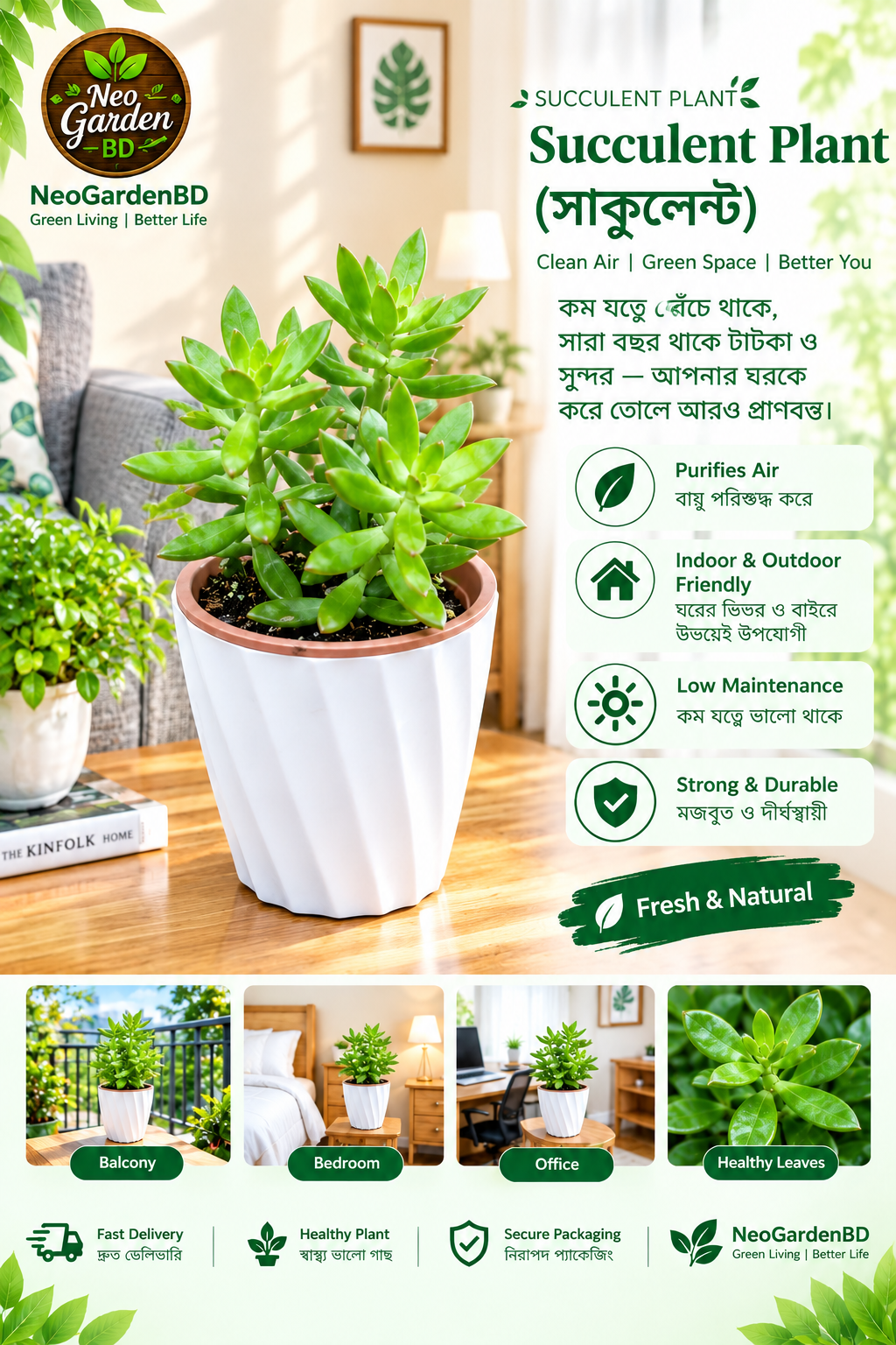 succulent plant (সাকুলেন্ট) succulent plant (সাকুলেন্ট)