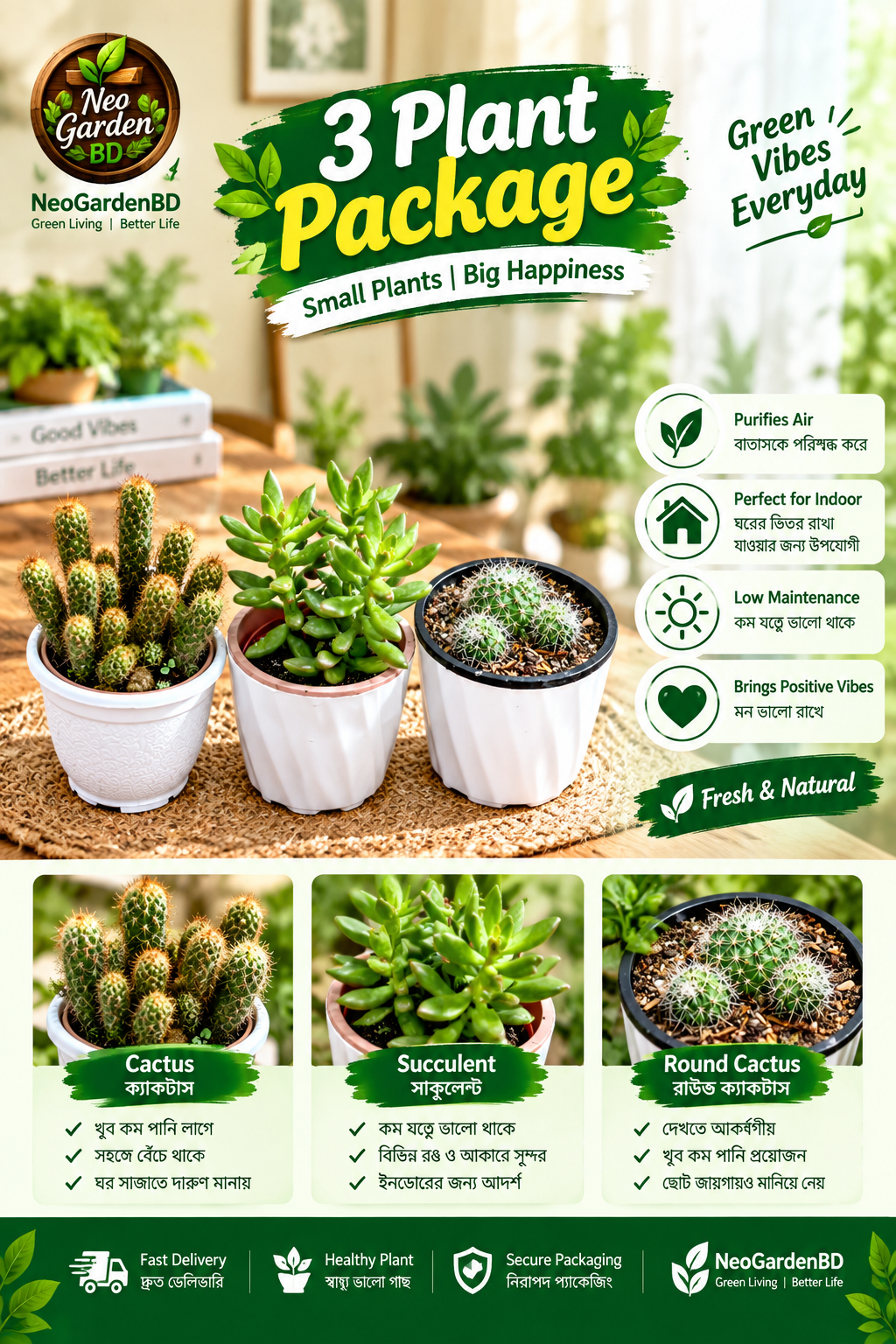 3 plant combo package ক্যাকটাস ও সাকুলেন্ট ইনডোর কম্বো প্যাক 3 plant combo package ক্যাকটাস ও সাকুলেন্ট ইনডোর কম্বো প্যাক